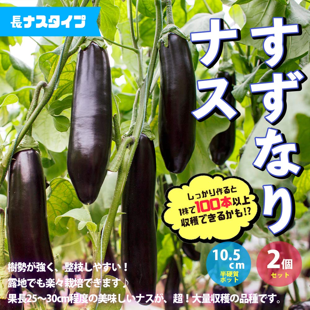 Amazon.co.jp: ITANSE ナス苗 すずなりトロトロなすの苗(長ナス